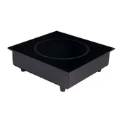 Spring USA SM-263R Max Induction International Range, Built-In 1 image