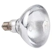 Hubert 43625 Heat Lamp Bulb 1 image