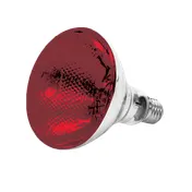 Thunder Group SEJ90001R Heat Lamp Bulb 1 image