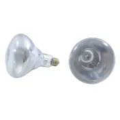 Thunder Group SEJ92001C Heat Lamp Bulb 1 image