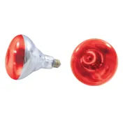 Thunder Group SEJ92001R Heat Lamp Bulb 1 image