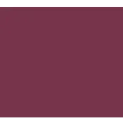 Cambro 1200522 - 12" Round Fiberglass Serving Camtray, Burgundy Wine, NSF Certified, Dishwasher Safe 2 image