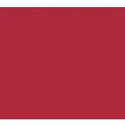 Cambro 1216D521 Dietary Tray - 12" x 16" Red Rectangular Fiberglass, NSF, Safe, Made in USA 2 image