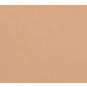 Cambro 1318117 Rectangular 12-5/8" x 17-3/4" Fiberglass Fast Food Tray, Peach, NSF, Dishwasher Safe 2 image