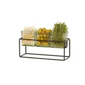 Cal-Mil 23747-6-13 3 Jar Holder, 12.5"W X 4.5"D X 6"H, Includes 3 Glass, Black 1 image