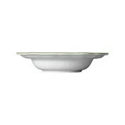 Steelite 62580FP814 - 15 Oz Porcelain Soup Bowl, 9.75" Diameter, Double Line Green Folio - 1 Dozen 2 image