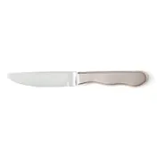 Steelite WL880527R - 5" Stainless Steel Steak Knife, 10" Length, Frost-Finish Jumbo Handle - 1 Dozen 1 image