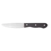 Steelite WL880528R Steak Knife, 9.875" x 5" Steel Blade, Phenolic Handle, DELRIN Finish - 1 Dozen 1 image