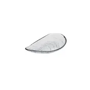 Ardacam 1953-1 Glass Plate - 8.86" x 4.9" Free-Form Auster Clear Glass Dinnerware Plate 1 image