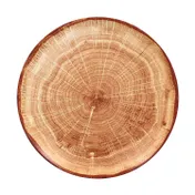 RAK Porcelain WDNNPR21TB Round Plate 8-1/4" Diameter Brown Porcelain Oven-Microwave Safe - 12/Case 1 image