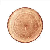RAK Porcelain WDNNPR27TB Round Plate 10.5" Diameter Flat Coupe Rim Timber Brown Porcelain - 12/Case 1 image