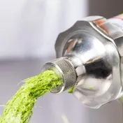 Hamilton Beach HWG800 Wheat Grass Electric Juicer, 12" H, High-Torque Motor 7 image