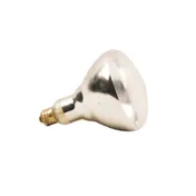 AllPoints 381135 Infrared Bulb, Clear, Medium Base, Safety Coated 1 image