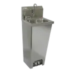 image of GSW USA HS-1615F 15" S.Steel Wall Mount Hand Sink, Foot Operated / 12-1/2"W x 9-3/4"D