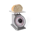 image of Taylor Precision THD32D Mechanical Scale, Analog, Dial Type