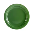 image of CACChina L-16NR-G Las Vegas Green Stoneware Plate, 10-1/2" Dia. 1-1/4" H, Round Narrow Rim - Dozen