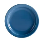 image of CACChina L-8NR-LBU 9" Light Blue Stoneware Plate, Narrow Rim, Dishwasher Safe - Dozen