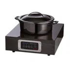 image of Spring USA JEWEL BOX Countertop Induction Range