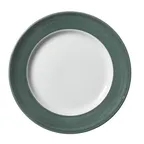 image of Steelite 17930812 - 10.625" Round Jade Ceramic Plate, Alumina Vitrified China - 1 Dozen