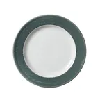 image of Steelite 17930814 - 9.0" Round Jade Plate, Vitrified Ceramic, Revolution Edge Finish - 1 Dozen