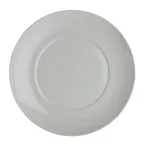 image of Steelite 61191ST7805 - 10.625" Round Porcelain Dinner Plate, Cool Blue‑White Finish, 1 Dozen