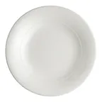 image of Steelite 62117ST0902 Round Porcelain Plate, 10.625" Diameter, Wide Rim, Oven Safe 500°F - 1 Dozen