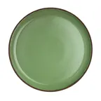image of Steelite 6213RT002 9.5" Spice Cardamom Round Porcelain Plate Deep Rim Oven Safe 425°F - 1 Dozen