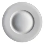 image of Steelite 6315P1214 - 9" Round Porcelain Plate, Oven Safe to 465°F/239°C, Folio Design - 1 Dozen