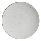 image of Steelite 6415MY008 Coupe Plate, 9.5" Wabi Sabi Lichen Rene Ozorio Porcelain Coupe Rim - 6/Case