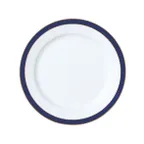 image of Steelite 82114AND0181 - 9.5" Round Narrow Rim Bone China Plate, Duke William Edwards, 1 Dozen