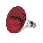 image of Thunder Group SEJ90001R Heat Lamp Bulb