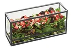 image of Cal-Mil 22078-13 Presentation Display, 15"W X 5"D X 7"H, Rectangular, Non-Refrigerated