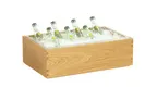 image of Cal-Mil 23184-12-21 Sydney Ice Housing, 21.25"W x 13.25"D x 7"H Oak Display, Fits 12"-23" Long Side