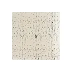 image of Steelite GS196658 Square Glass Serving Platter, 10.75x10.75x0.875, Dark Grey, Glass, Sold per Case