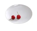 image of Yanco AC-10-C 10" Round Porcelain Plate, Super White, Rolled Edge Coupe Rim - Dozen