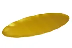 image of Yanco CAT-2030G - 30" Oval Plastic Serving Platter, Gold Melamine, Dishwasher Safe, Ideal for Catering