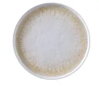image of Yanco OP-112 - 12" Round Melamine Plate, Two‑Tone White Brown Matte, 12" Dia x 1" H, 1 Dozen