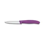 image of Victorinox 6.7605.C1 Paring Knife – 3-1/4" Spear Point Blade Purple Plastic Handle Stainless Steel