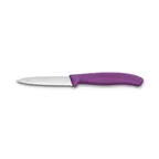 image of Victorinox 6.7635.C1 Paring Knife – 3-1/4" Spear Point Blade, Purple Plastic Handle, Stainless Steel