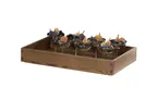 image of Cal-Mil 23106-12203-136 Rectangular Tray, 12" x 20" x 3" H, Fits Sydney, Brooklyn, Milo Riser Bases