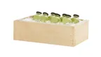 image of Cal-Mil 25212-12-93 Logan Ice Housing, 21.25" x 13.25" x 7.25" H, Polycarbonate, Rectangular
