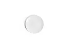 image of Ariane Porcelain AVCARN000011015 Coupe Rimless Plate, 6" (15 cm) Ivory Porcelain - 12/Case