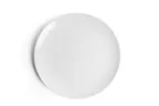 image of Ariane Porcelain AVCARN000011031 12 1/5" Round Rimless Ivory Porcelain Plate Set – 6/Case