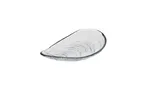 image of Ardacam 1953-1 Glass Plate – 8.86" x 4.9" Free‑Form Auster Clear Glass Dinnerware Plate