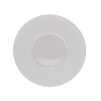 image of ONIS 5256076 Round China Plate 10" Diameter, Wide Rim, Bright White Porcelain, Dishwasher Safe