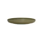 image of Mikasa 5275167 Solitude China Plate, 11" Round, Green, Dishwasher, Microwave & Oven Safe