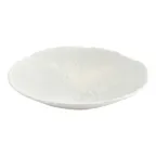 image of F2D 5323261 - White Porcelain Bowl 9" (27.9oz), Dishwasher, Microwave & Oven Safe, Filo Finish