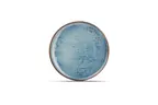 image of F2D 5344406 Coupe Round China Plate, 10.25" Porcelain, Blue Nova Finish