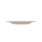 image of CAC China MLJSP-16 Jasper Plate, 10.5" x 10.5" x 1" Rounded Melamine, Ivory Rolled Edge - 1 Dozen