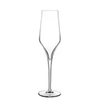 image of Steelite LB1127601 Champagne / Sparkling Wine Glass
